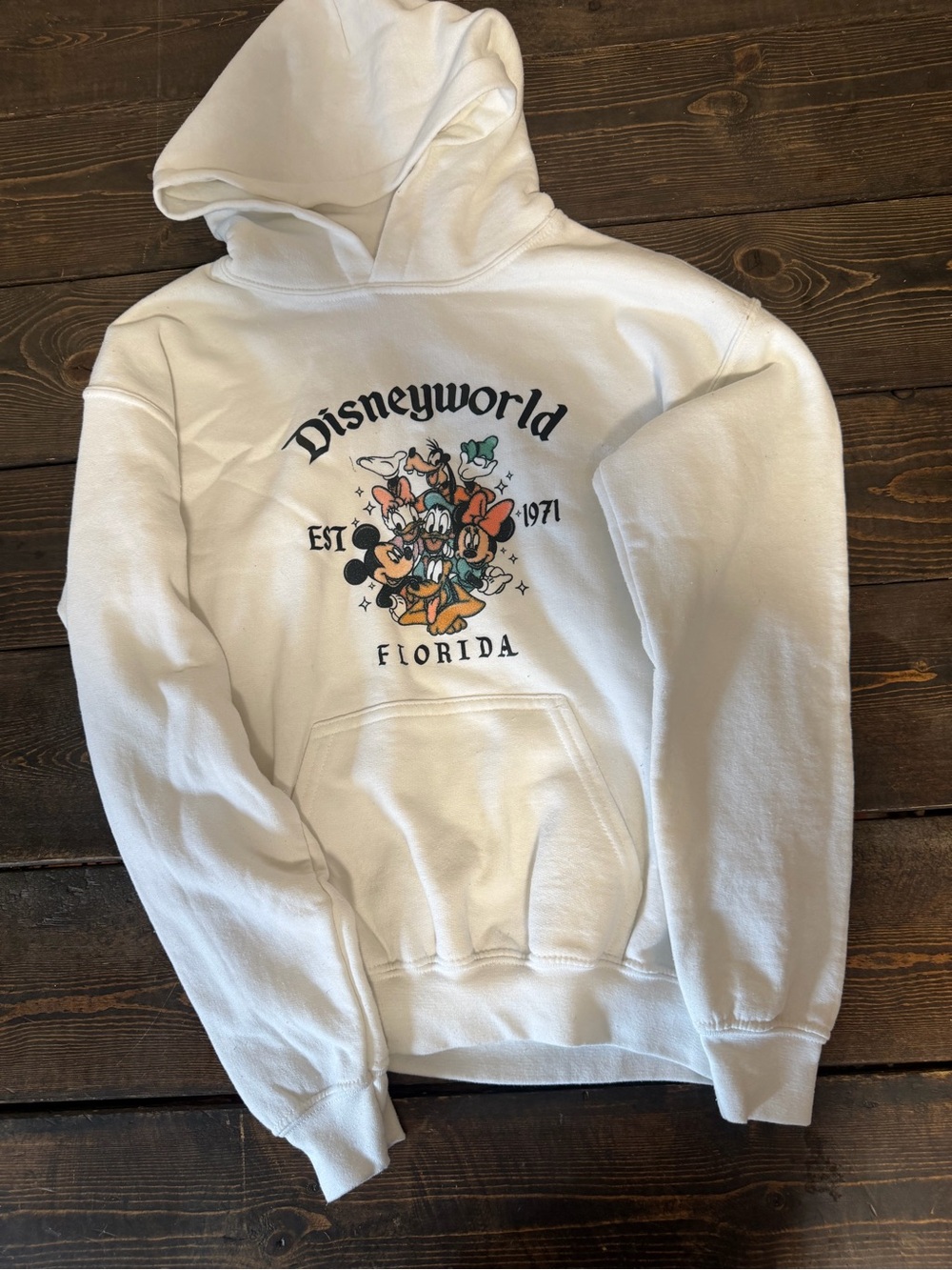 Gildan White Disneyworld Florida Graphic Hoodie